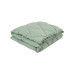 Набір ковдра з подушкою Penelope - Colors in Comfort green зелений полуторний